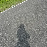 original sound - xxnene___