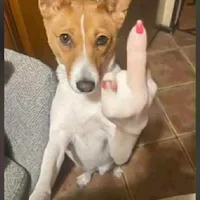 original sound - vuth739