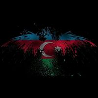 anti_muqavimet
