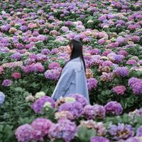 suara asli - potretbaiq