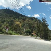caal067