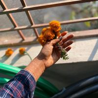 anjuma933