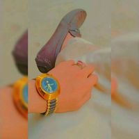 living_nights