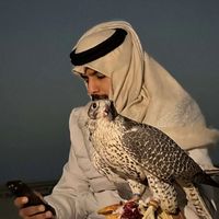 الصوت الأصلي