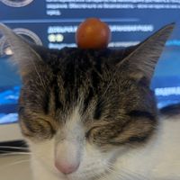 оригинальный звук