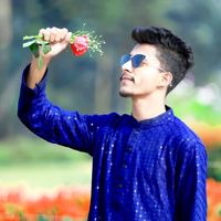 abdulmomin8426
