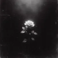 original sound - liz__xx6