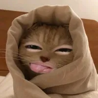 original sound - me1sha4u