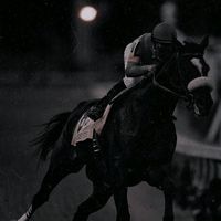 horse_edit999