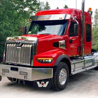 wicked_timbers_logging