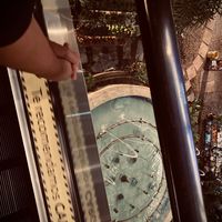 rodriguez_19.0