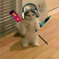 aleksandardimic67