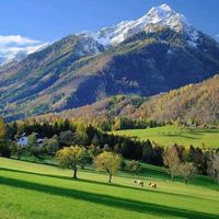 suara asli - CERMIN INFO