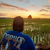 suara asli - Zidhan`Gacorrr