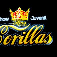 bandashowjuvenilhcorilla