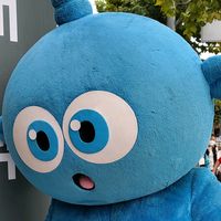 starty_official