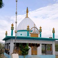alamdar_youth_federation