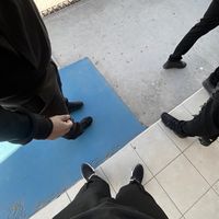 bulbafanss