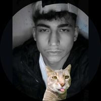 yusuf.ceylan771