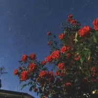 original sound - t.o.x.i.c_1