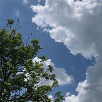 gaktau_gabutzz