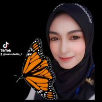 admintuansuladda_1