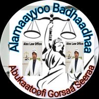 alemayehu7bedada