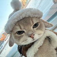 jackiechanactiontracking