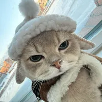 original sound - jackiechanactiontracking