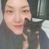 catloverbanjarpatroman