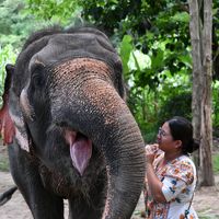 elephant_girl1937