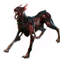 twice.cerberus