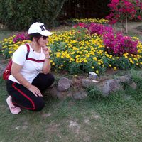 ang.phing8