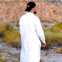 alwazeriii0