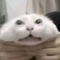 nick_idk_