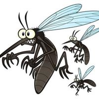 mosquito.net.brunei