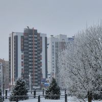 оригинальный звук