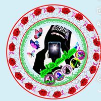 mujammil163