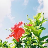 user99vhs5t43b