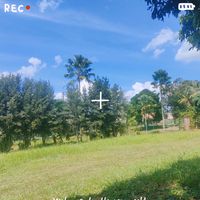 original sound - Ann Lim