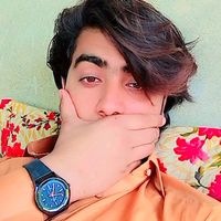 hum.nashi2