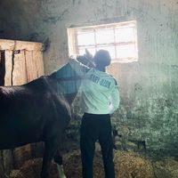 adilhik_