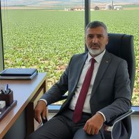 user198181248