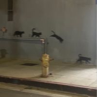 오리지널 사운드 - 연