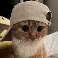 tyanzaa__