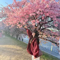 original sound - naw.thaw48