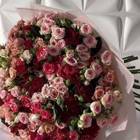 al_reem2220
