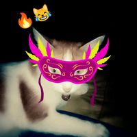 suara asli - RISKI turu w