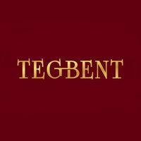 tebgent_modalar_oyi