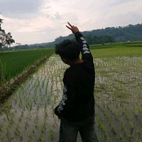 suara asli - WILDANTZY